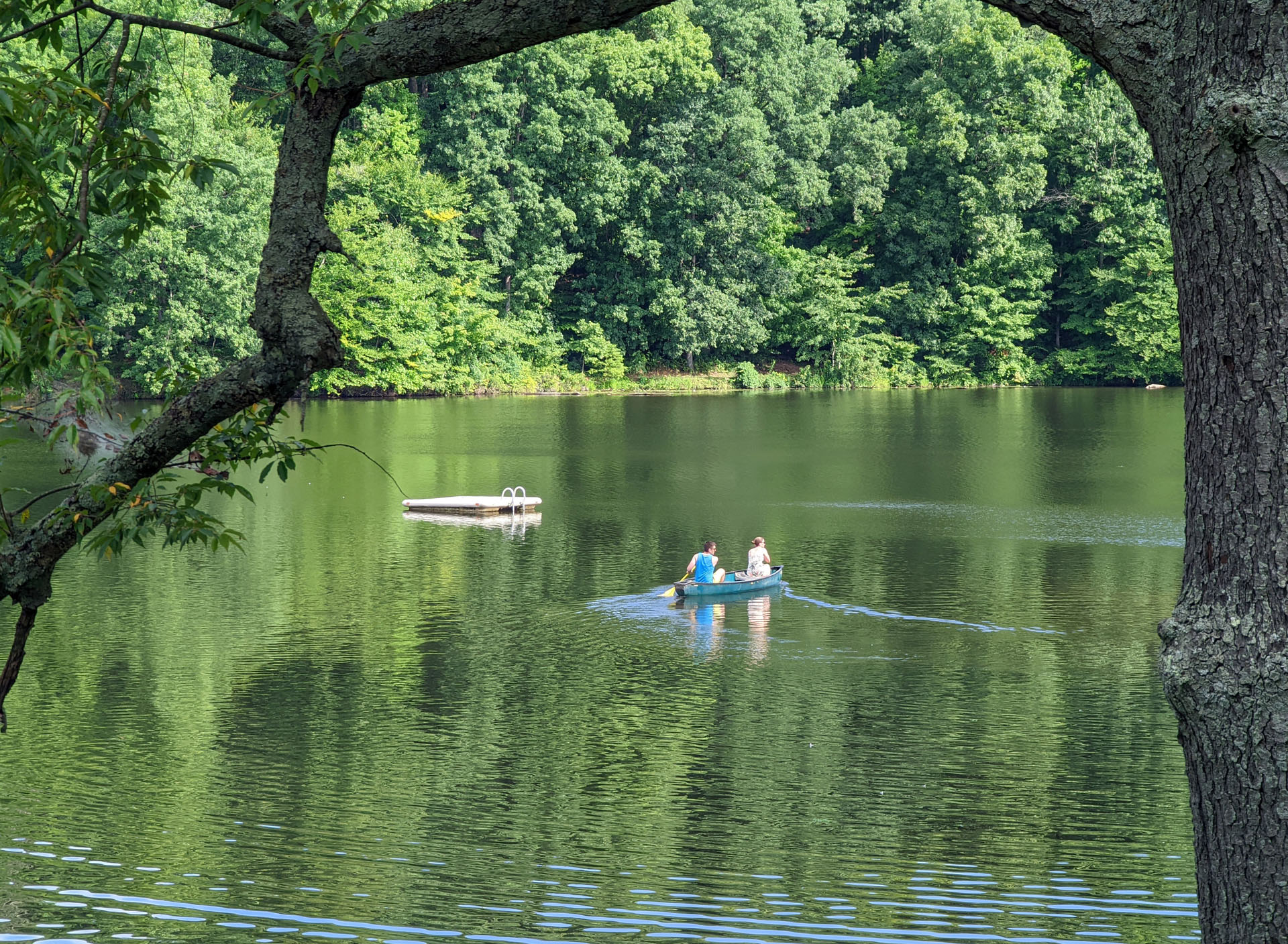 PXL 20220813 142633820